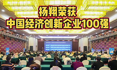 赞！扬翔获评“2020中国经济创新企业100强” 